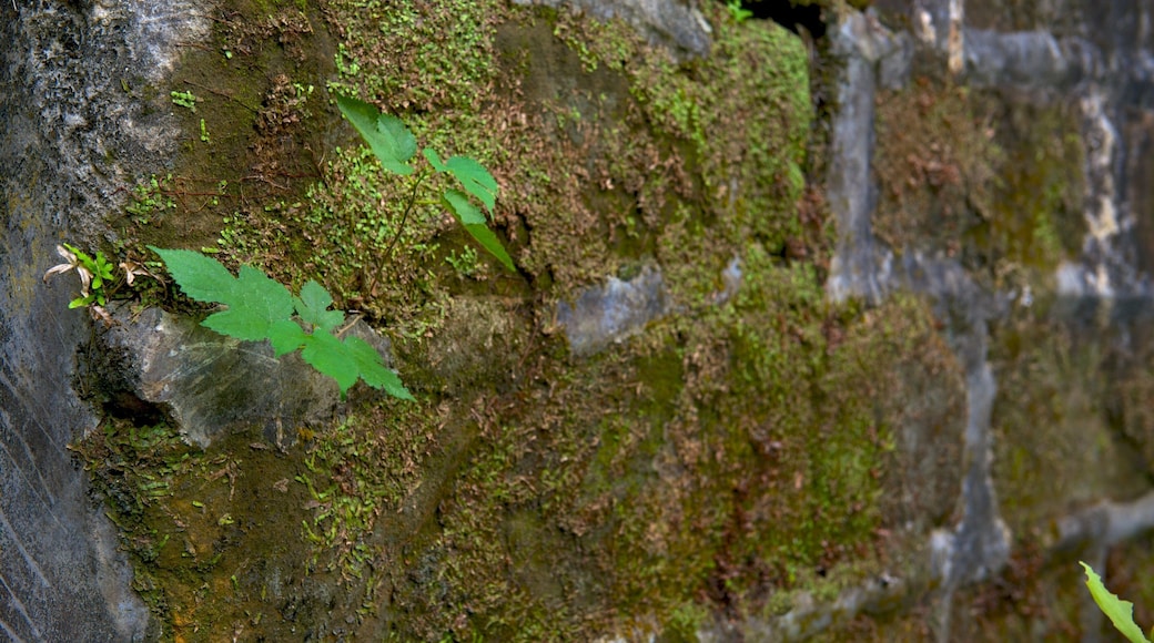 Fortaleza de Shihciouling