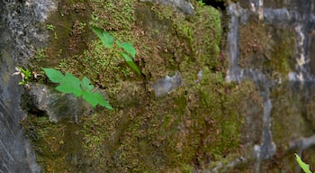 Festung Shihciouling