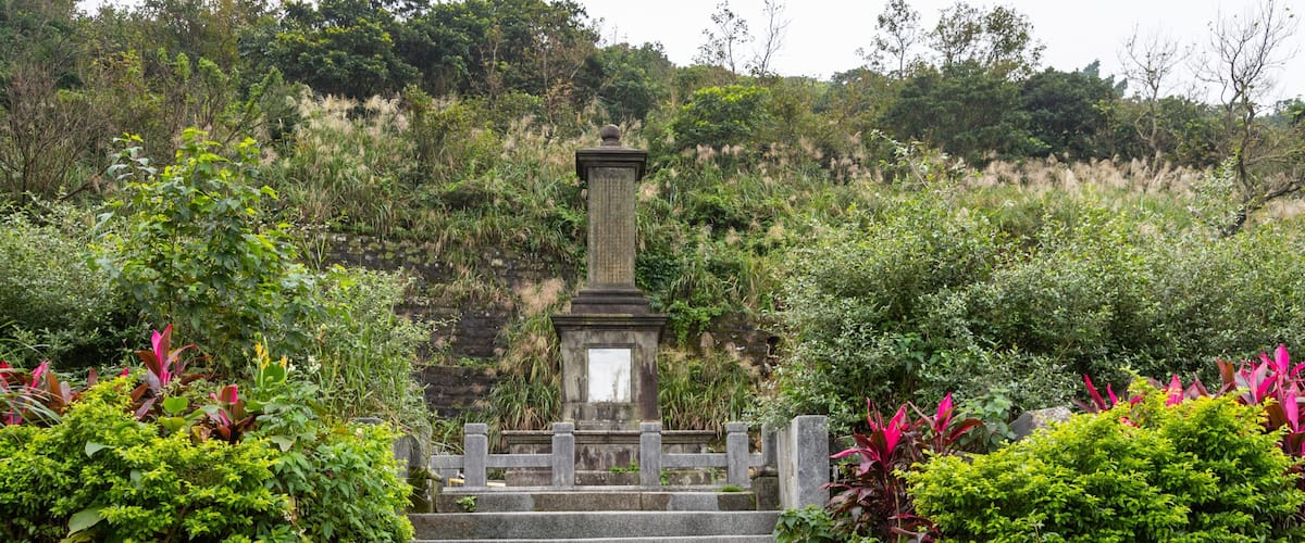 Songde Park showing wildflowers and a park