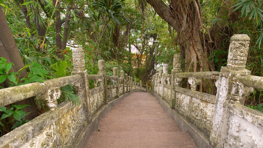 Zhongzheng Park which includes a garden