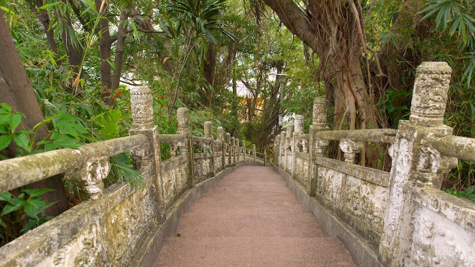 Zhongzheng Park showing a garden