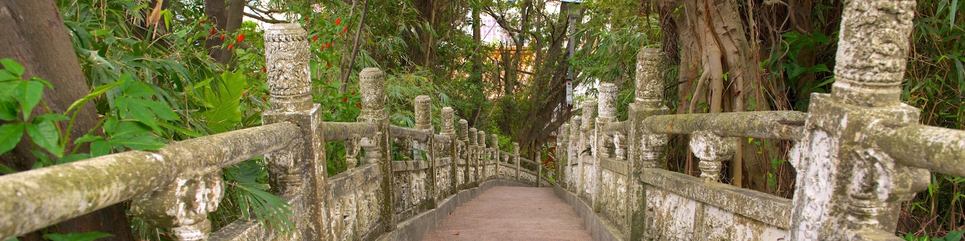 Zhongzheng Park showing a garden