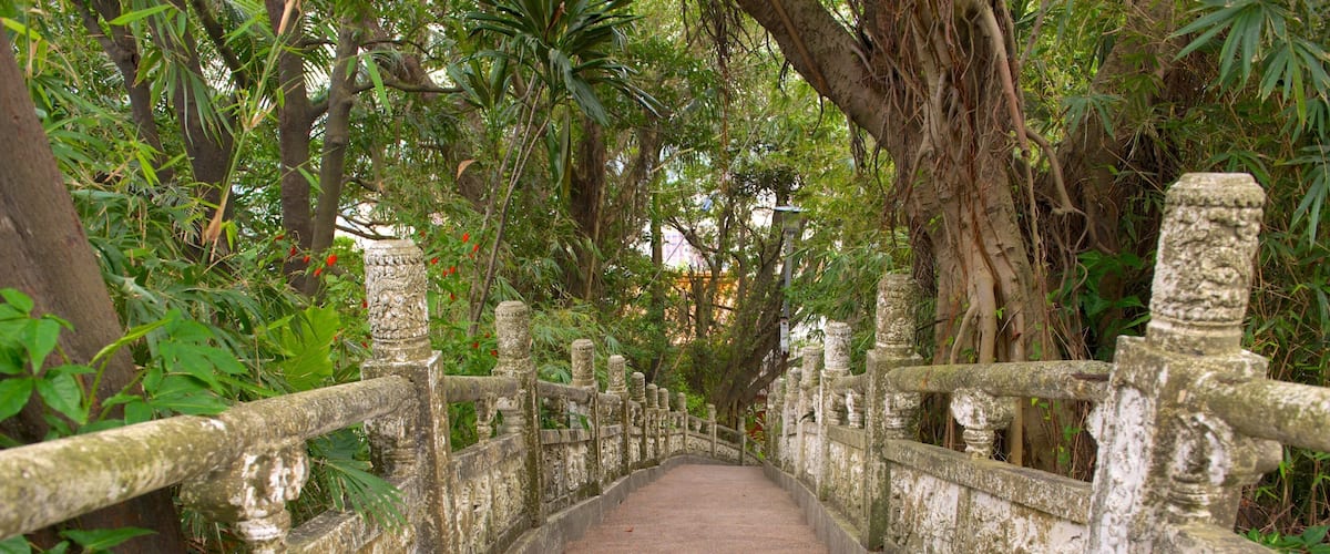 A stone bridge with ornate railings surrounded by lush greenery.