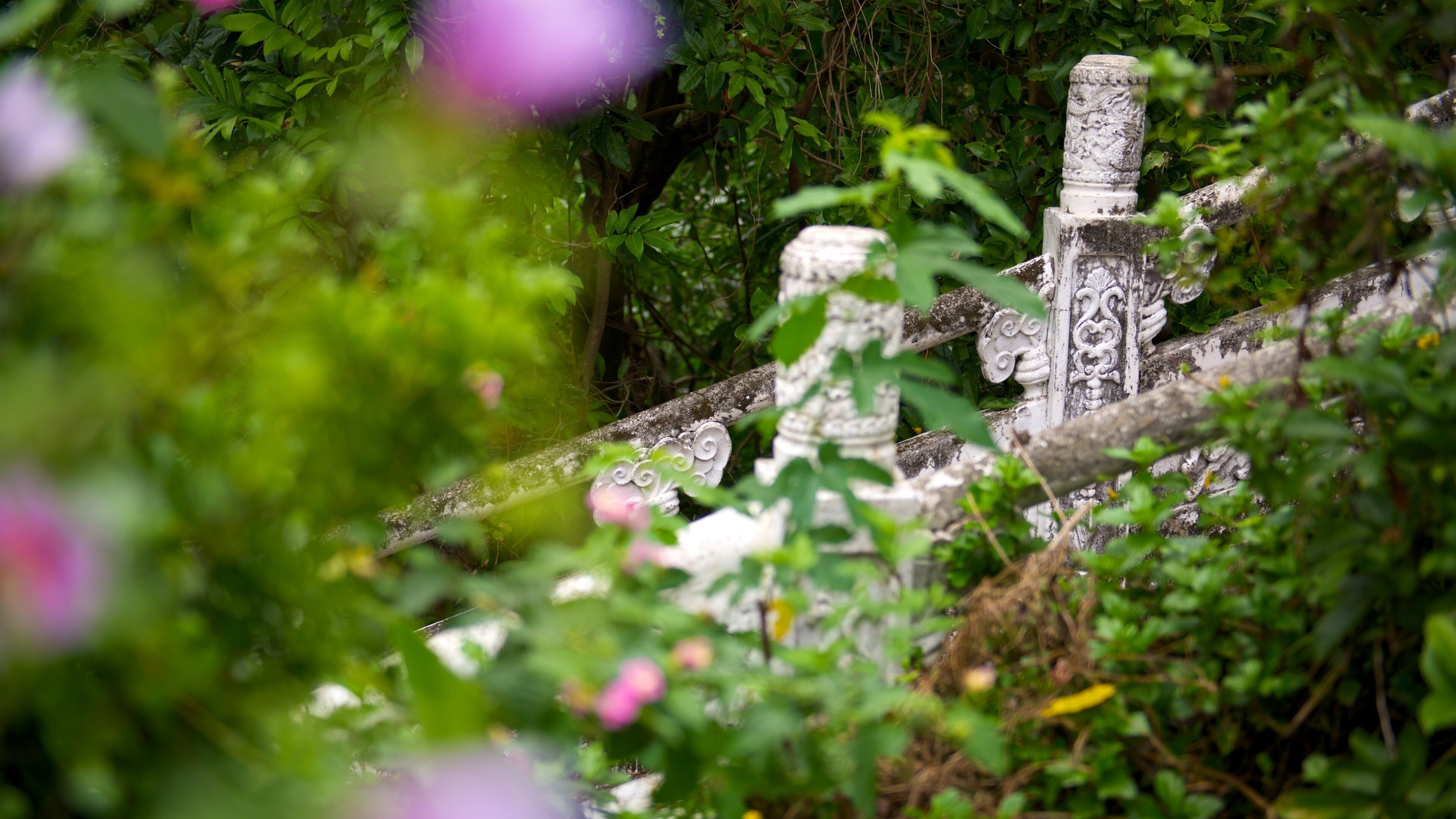 Zhongzheng Park showing a park
