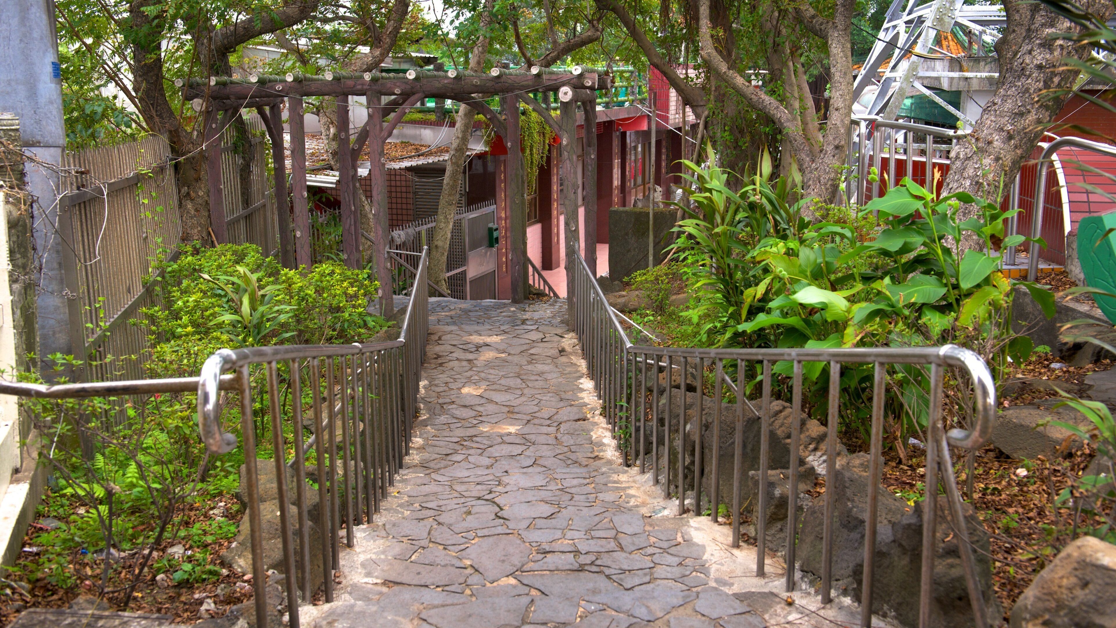 Parque de Zhongzheng que incluye un parque