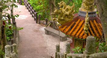 Zhongzheng Park featuring a garden