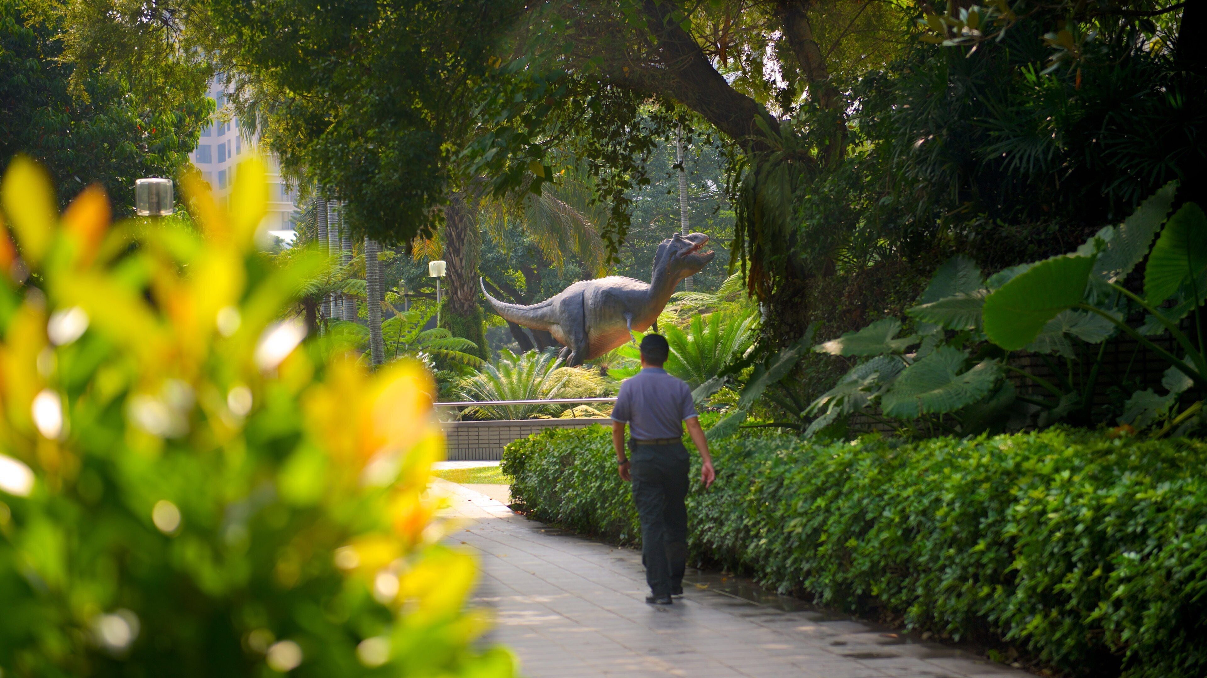 National Museum of Natural Science featuring a park
