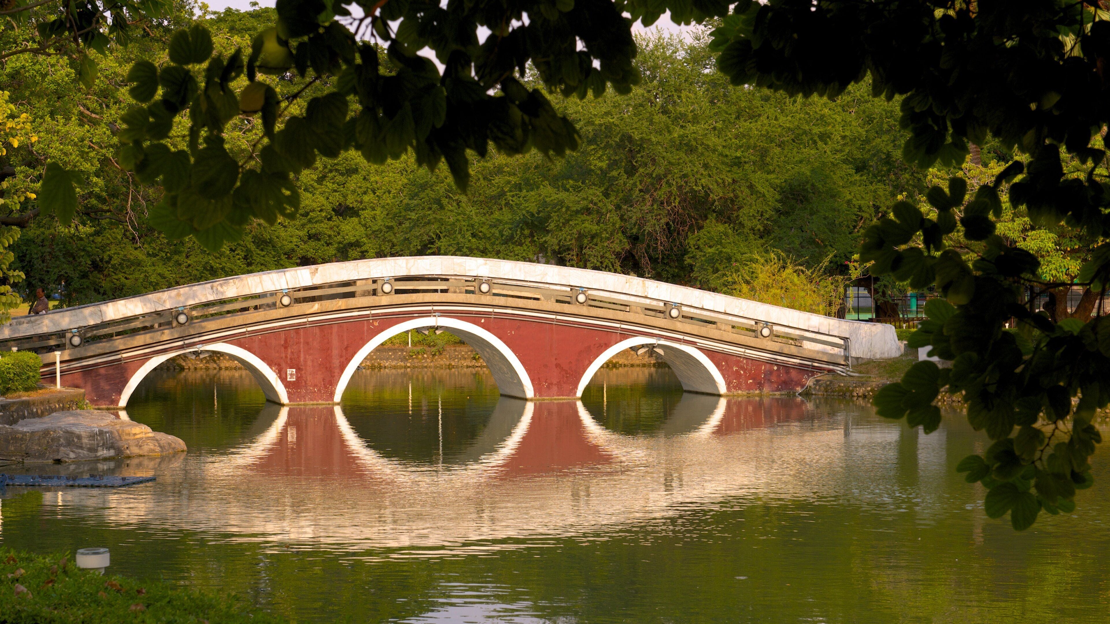 Taichung Park showing a lake or waterhole, a park and a bridge
