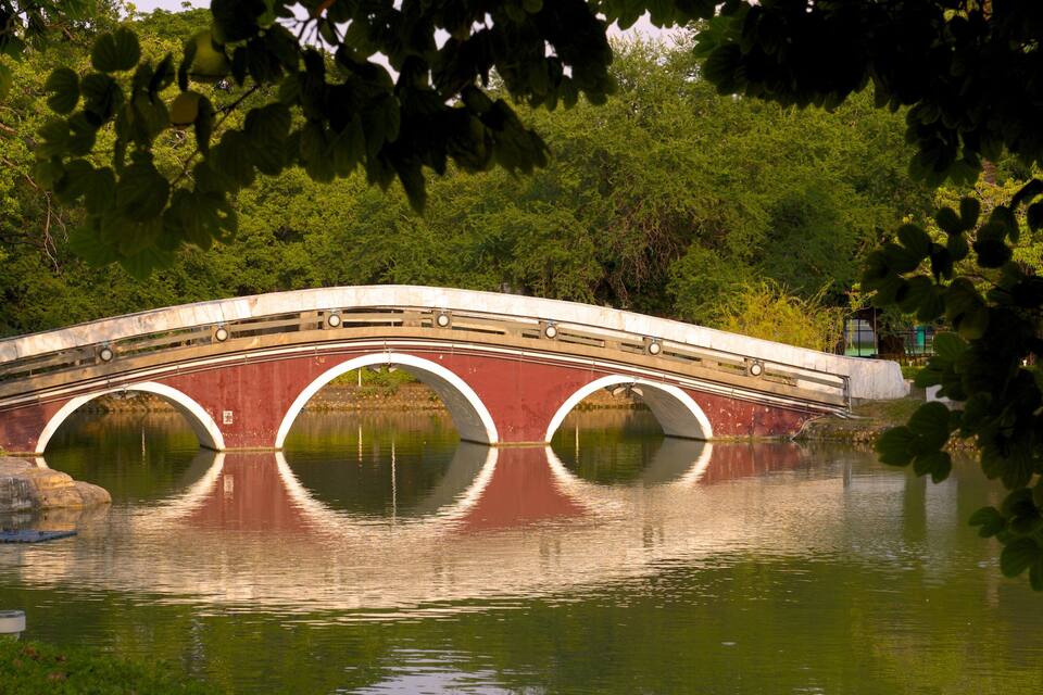 Un puente de piedra sobre un río tranquilo, rodeado de exuberante vegetación.