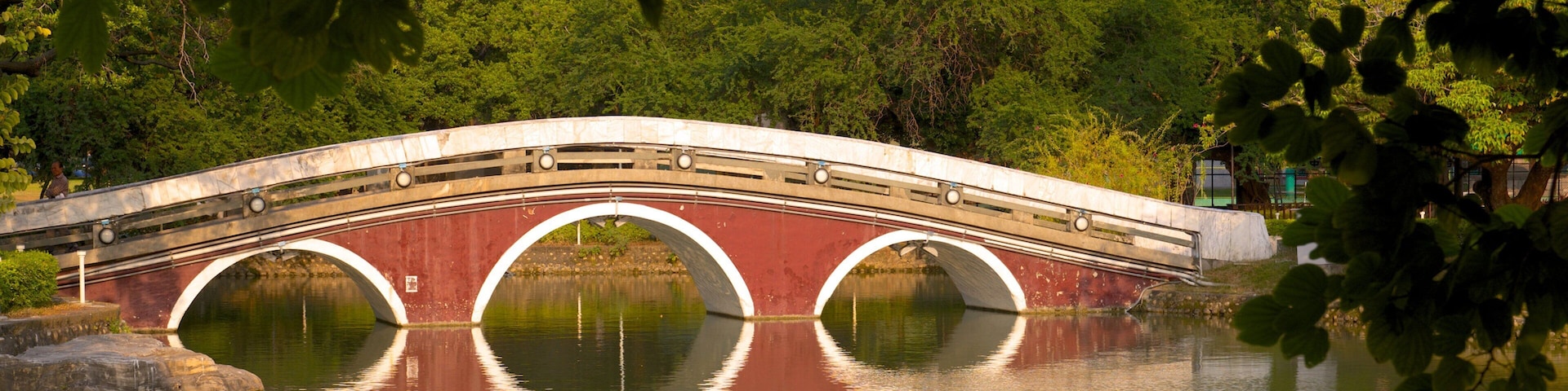 Taichung Park showing a lake or waterhole, a park and a bridge