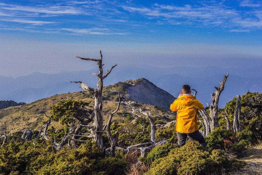Beautiful Millennium Single-seed Juniper (Juniperus squamata Lamb) on Jiaming Lake Trail, Yushan National Park, Taitung, Taiwan; Shutterstock ID 1008126082; purchase_order: SF 06557000; job: ; client: