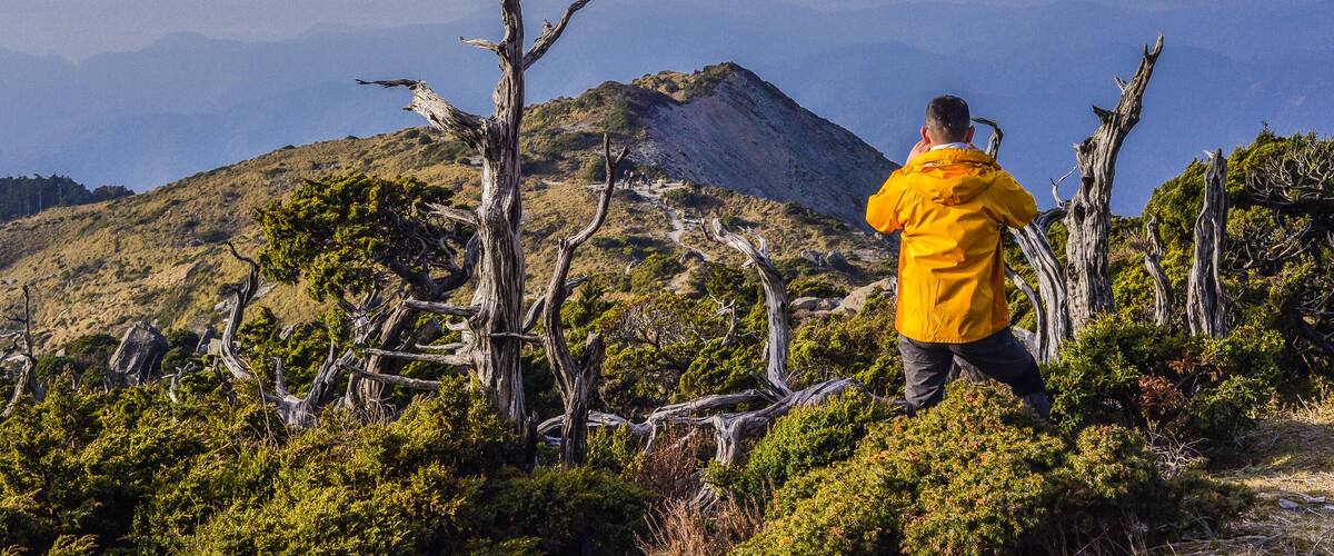 A person in a yellow jacket standing on a mountain with dead trees and a clear sky.