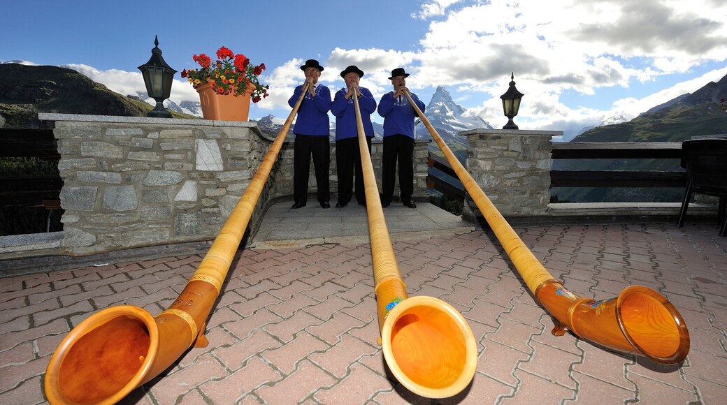 蘇內加滑雪勝地 呈现出 音樂 和 街頭表演