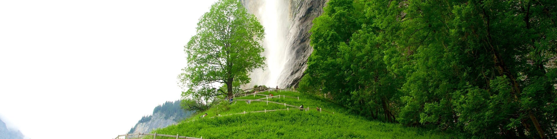 Lauterbrunnen mettant en vedette chute d\'eau et ferme