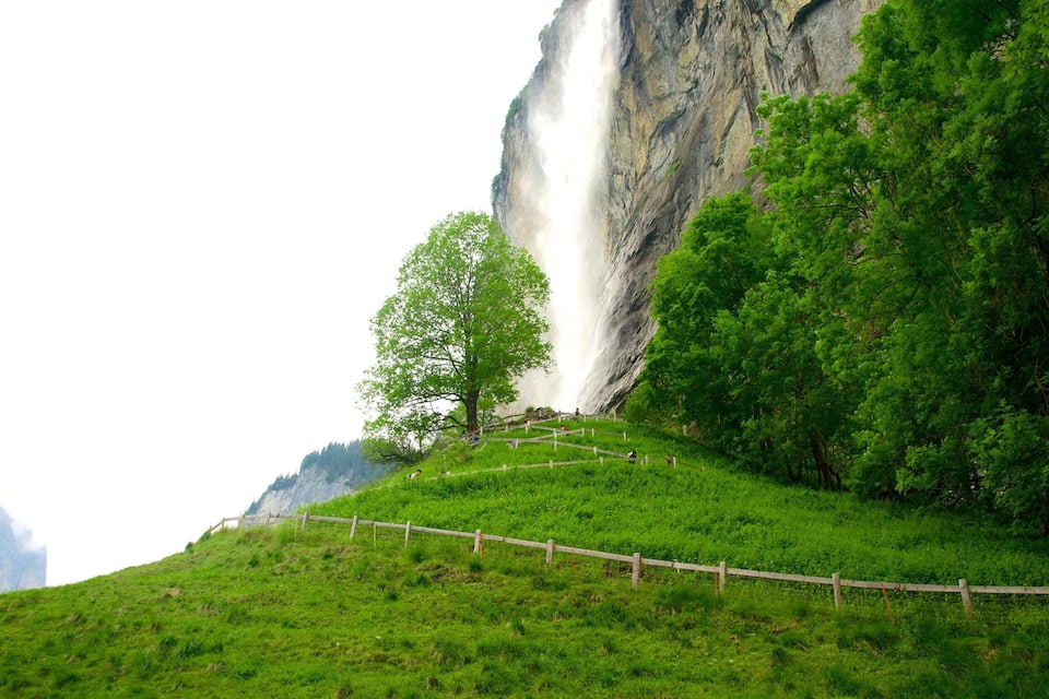 Une cascade se précipite le long d’une falaise abrupte, entourée d’une végétation luxuriante et d’une colline verdoyante.