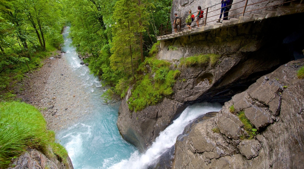 Trummelbach Falls which includes forests and a waterfall