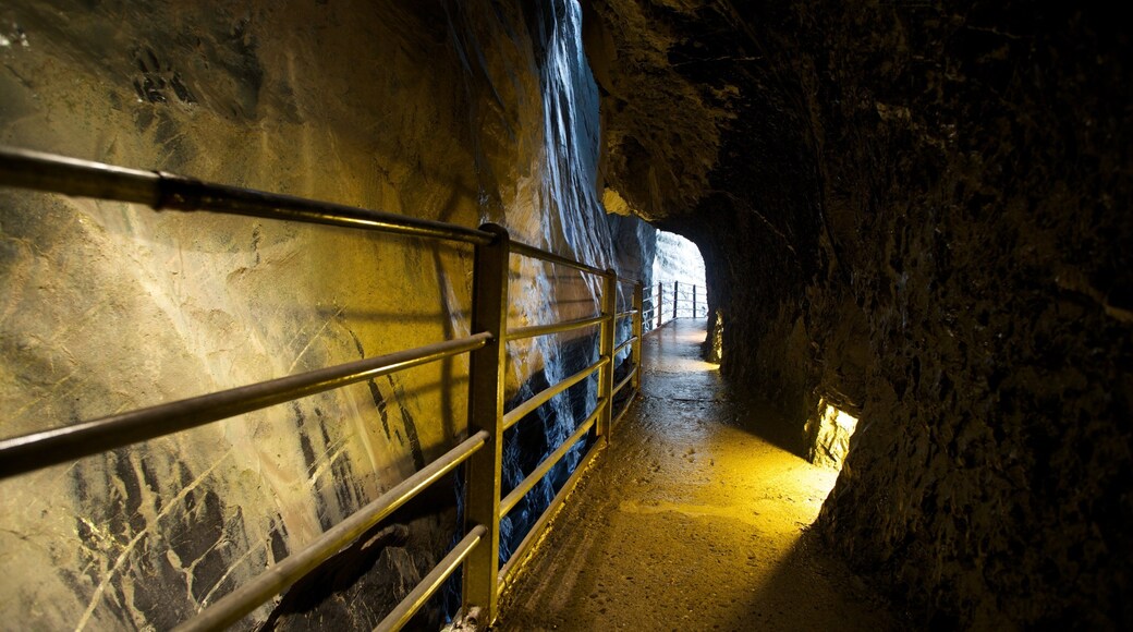 Trümmelbachfälle toont interieur en grotten