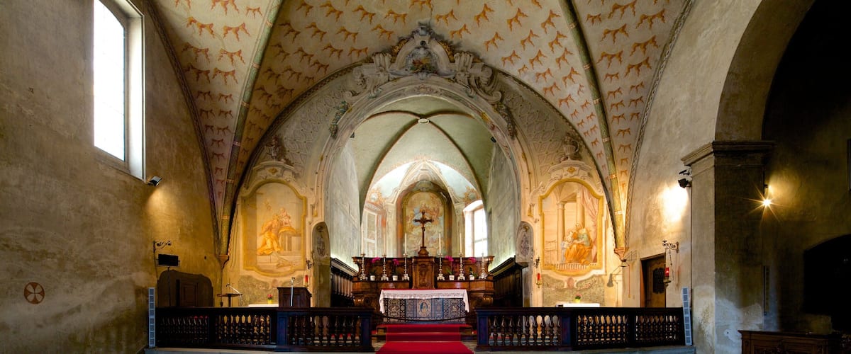 Santa Maria degli Angeli which includes religious elements, heritage elements and a church or cathedral