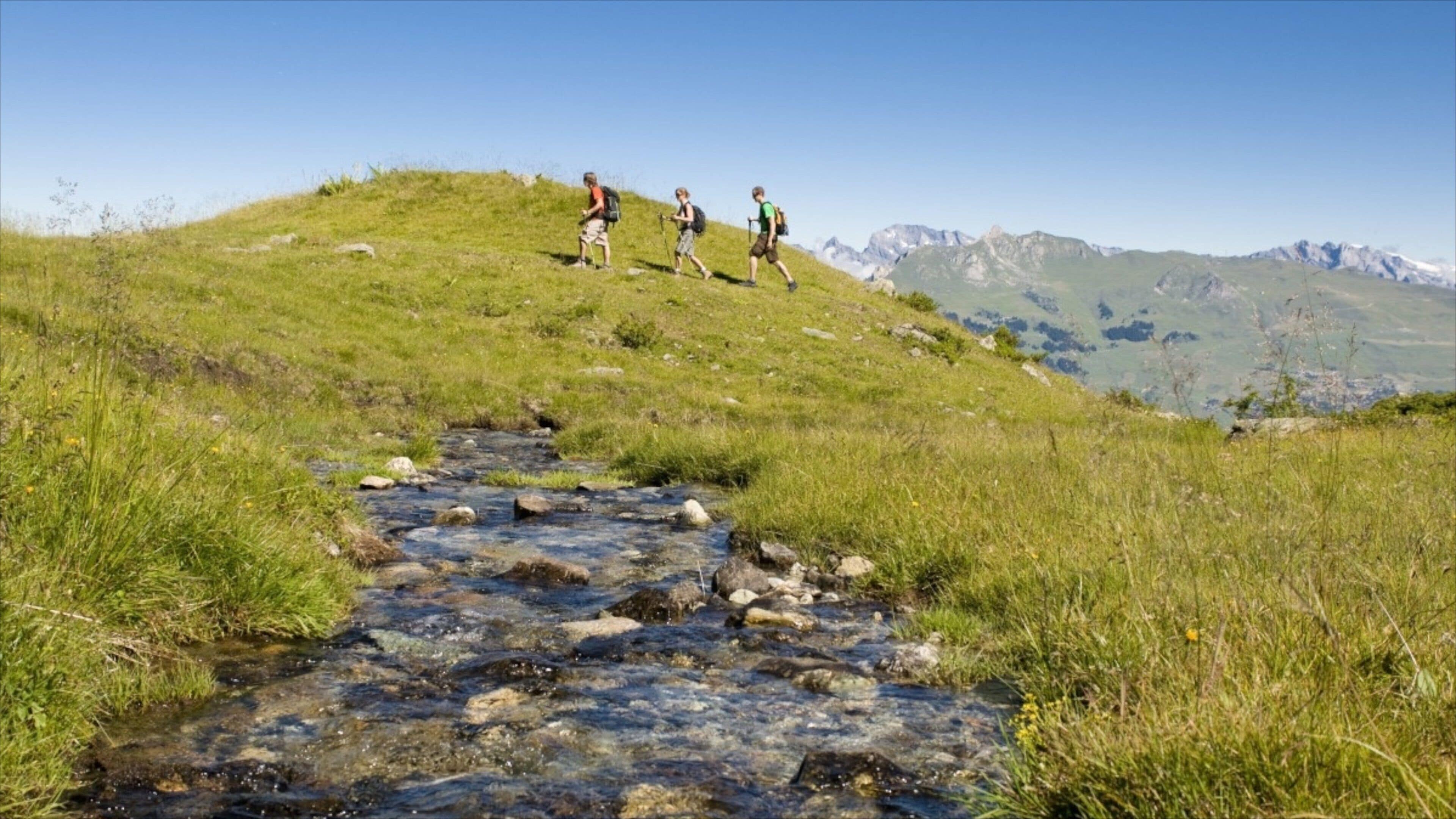 A stream flowing over rocks in a grassy valley with hikers on a hill.