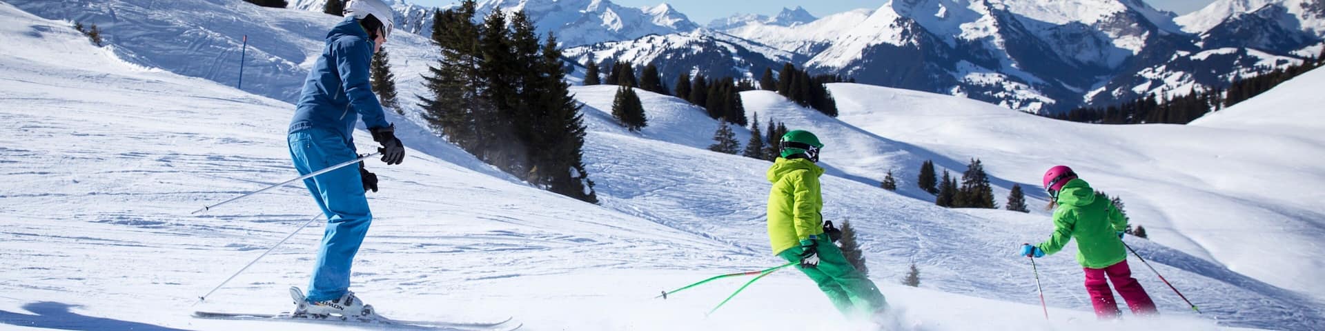 Gstaad Ski Resort which includes snow and snow skiing as well as a small group of people