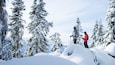 Two skiers on a snowy mountain with snow-covered trees and a clear sky.
