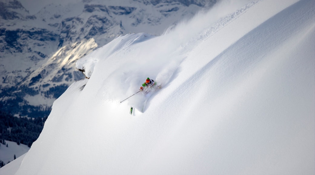 Les Diablerets skidort som visar utförsÄkning, snö och berg
