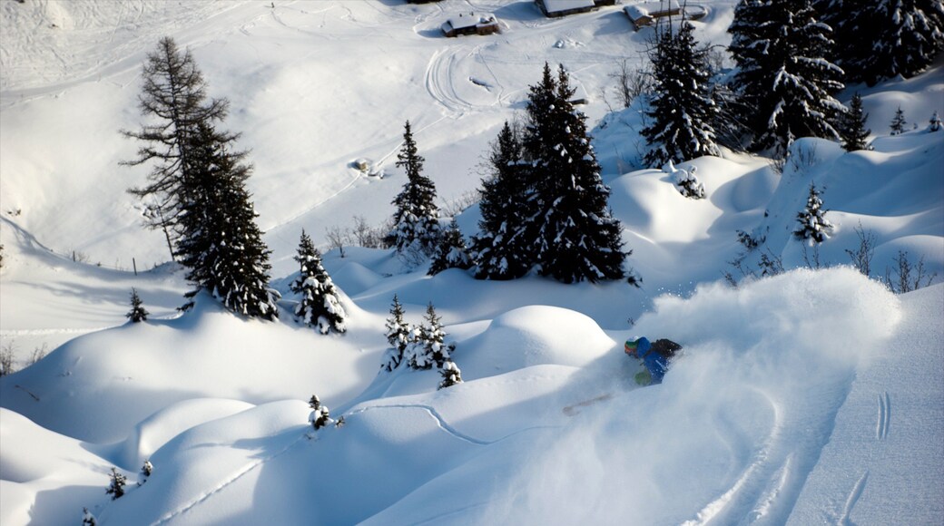 Les Diablerets Ski Resort showing snow skiing, mountains and snow