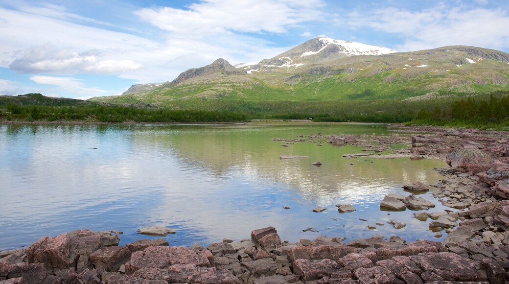 Stora Sjöfallets nasjonalpark som inkluderer innsjø