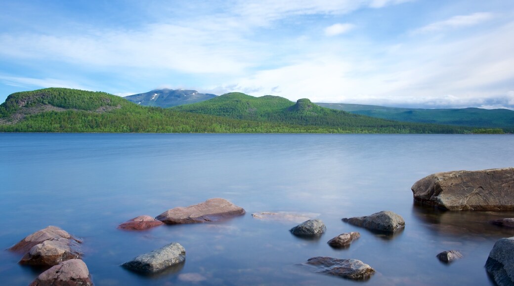 Parque Nacional de Stora Sjofallet mostrando um lago ou charco