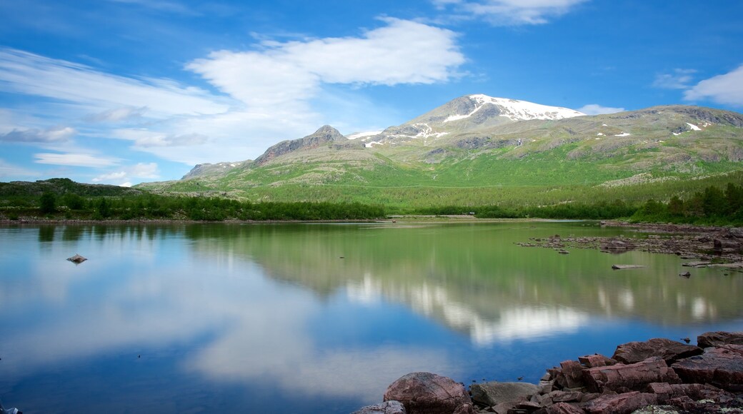 Parque Nacional de Stora Sjofallet mostrando um lago ou charco