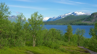 A lake surrounded by green trees and snow-capped mountains.