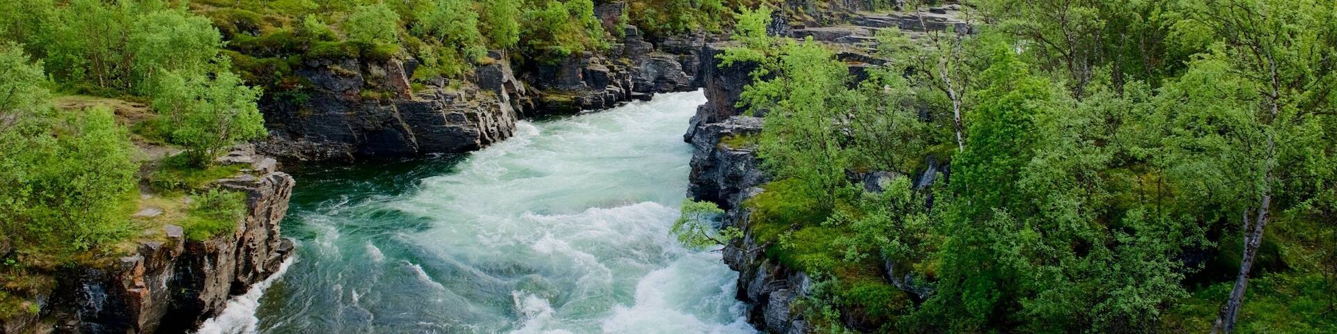 A river flowing through a forested gorge with rocky cliffs and snow-capped mountains in the background.