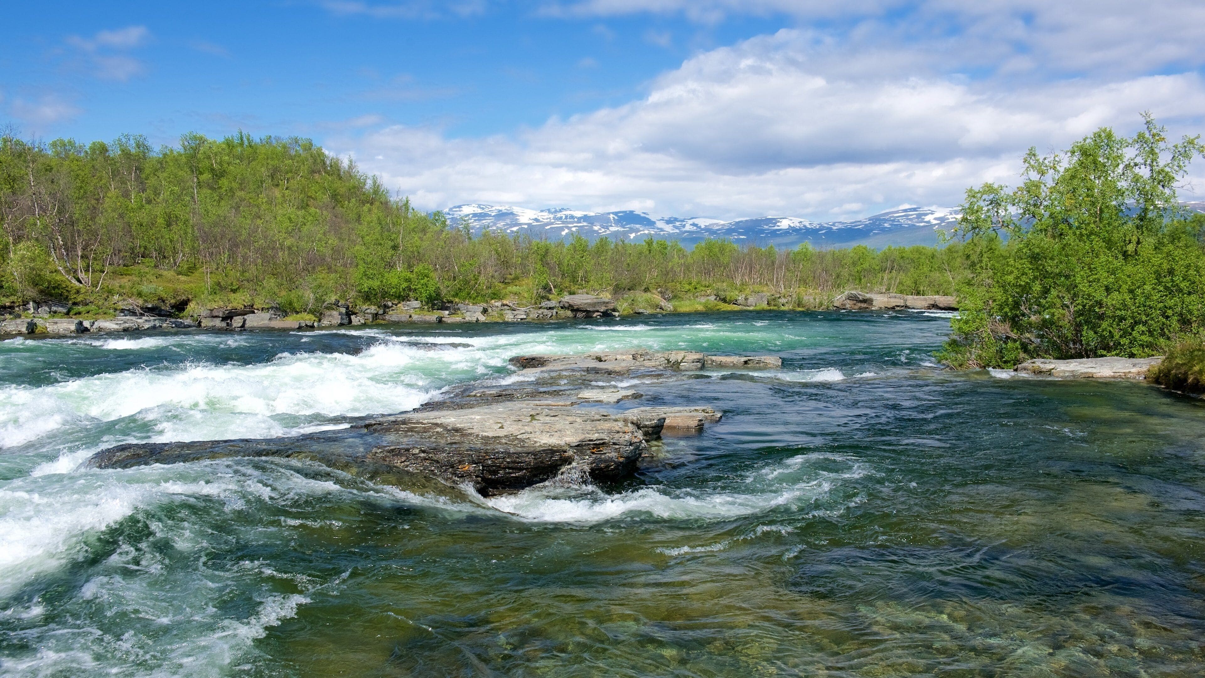 Abisko National Park which includes a river or creek