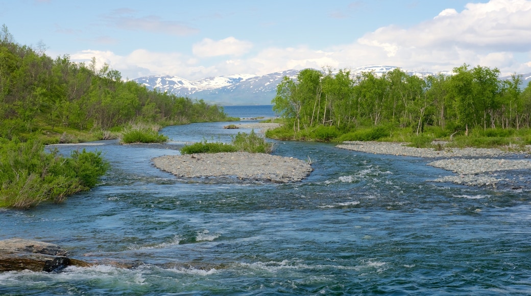 Abisko National Park featuring a river or creek