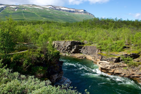 Abisko nationalpark som inkluderar en Ă„ eller flod och skogslandskap