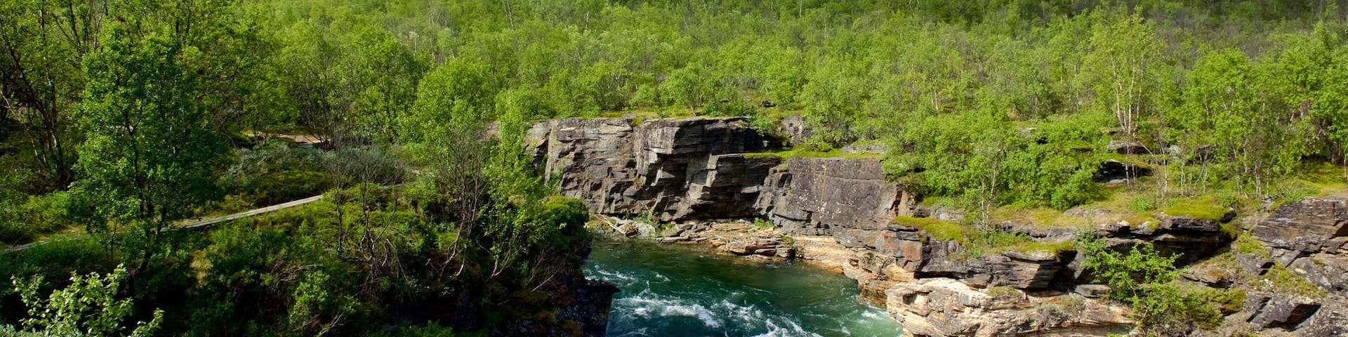 Abisko National Park which includes a river or creek and forests