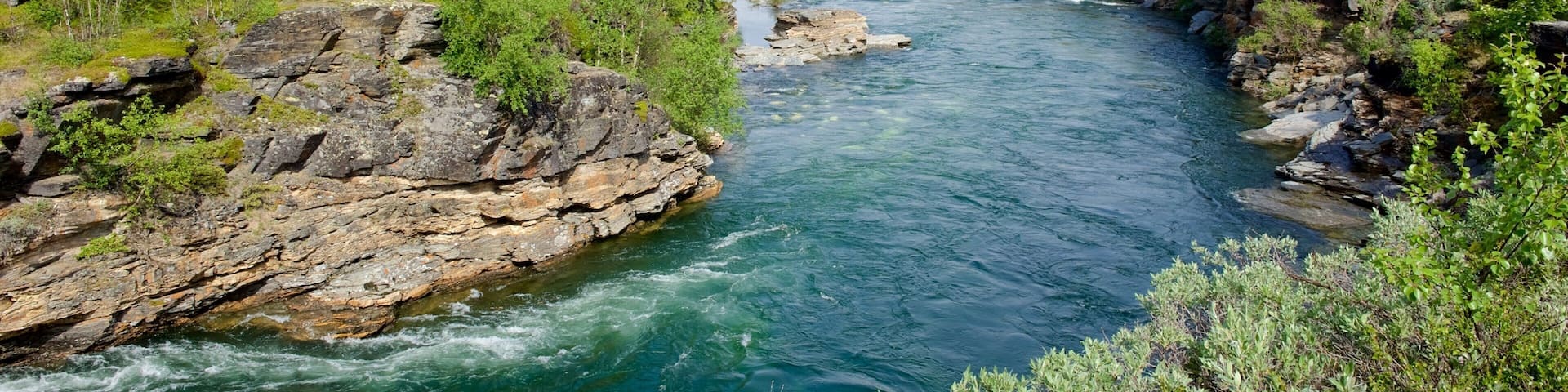 Abisko National Park featuring a river or creek