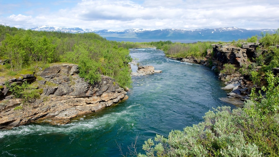Abisko National Park featuring a river or creek