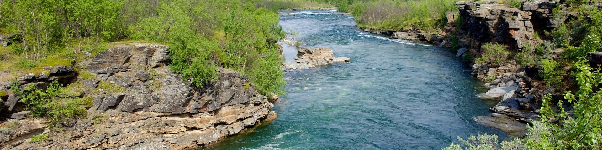 Parque Nacional de Abisko que inclui um rio ou córrego