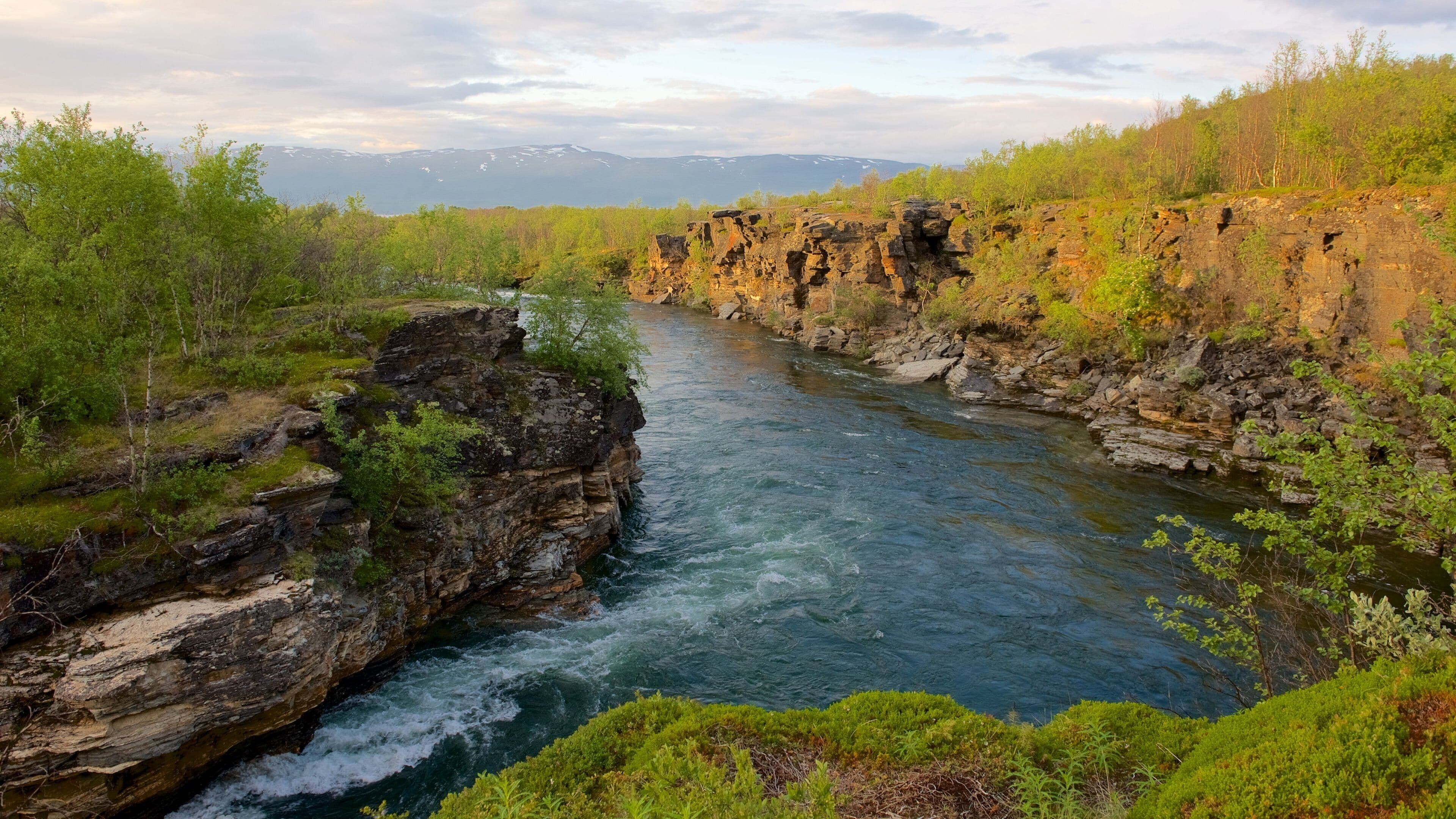 Parco Nazionale di Abisko che include fiume o ruscello