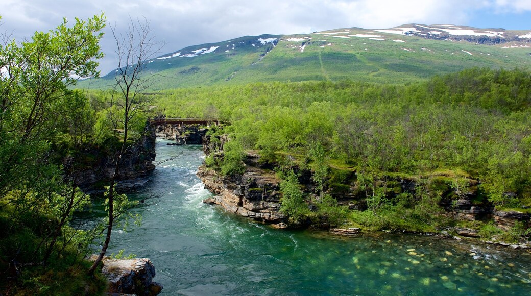 Parque Nacional de Abisko mostrando un río o arroyo