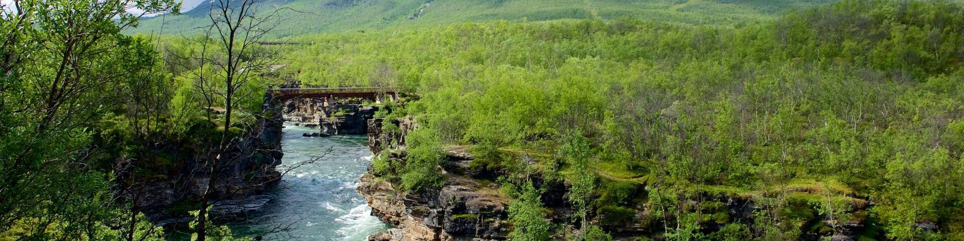 Abisko National Park which includes a river or creek