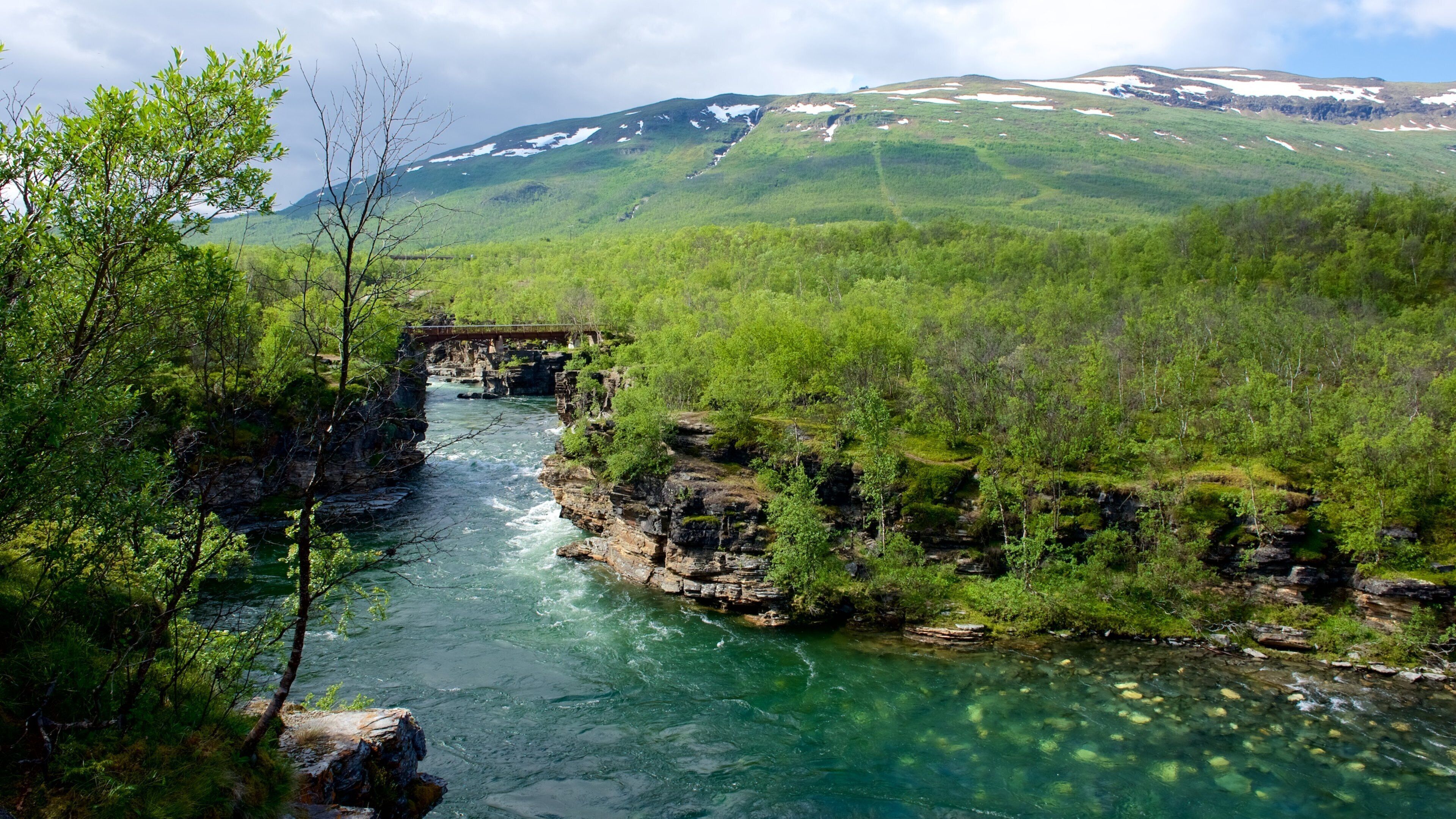 A river flowing through a forested valley with a bridge over the water.