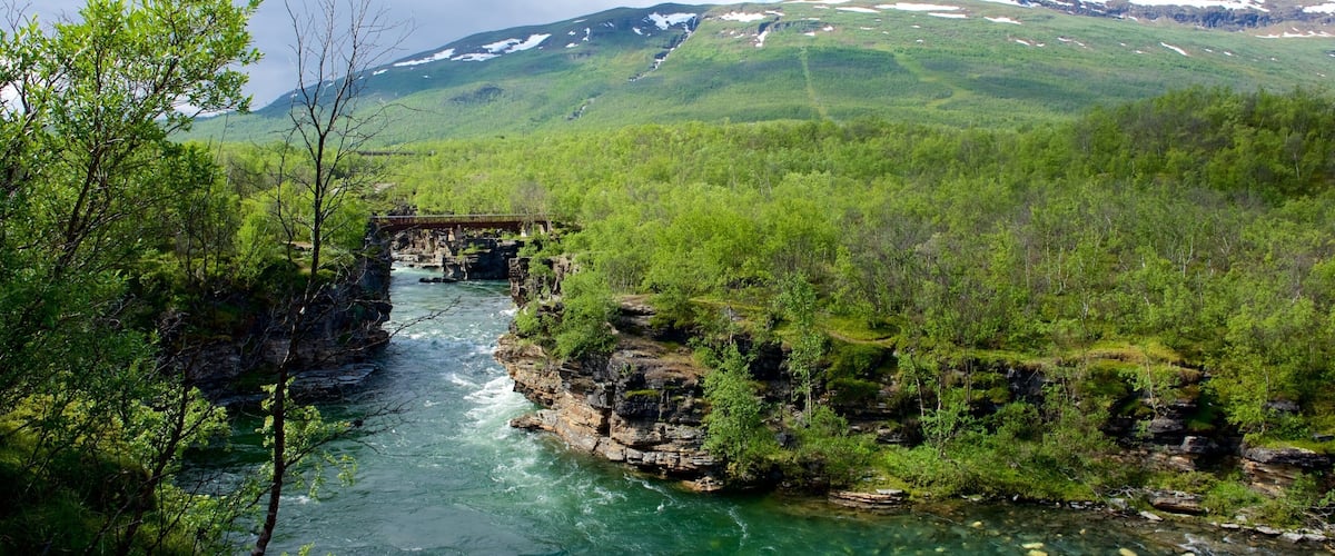 A river flowing through a forested valley with a bridge over the water.