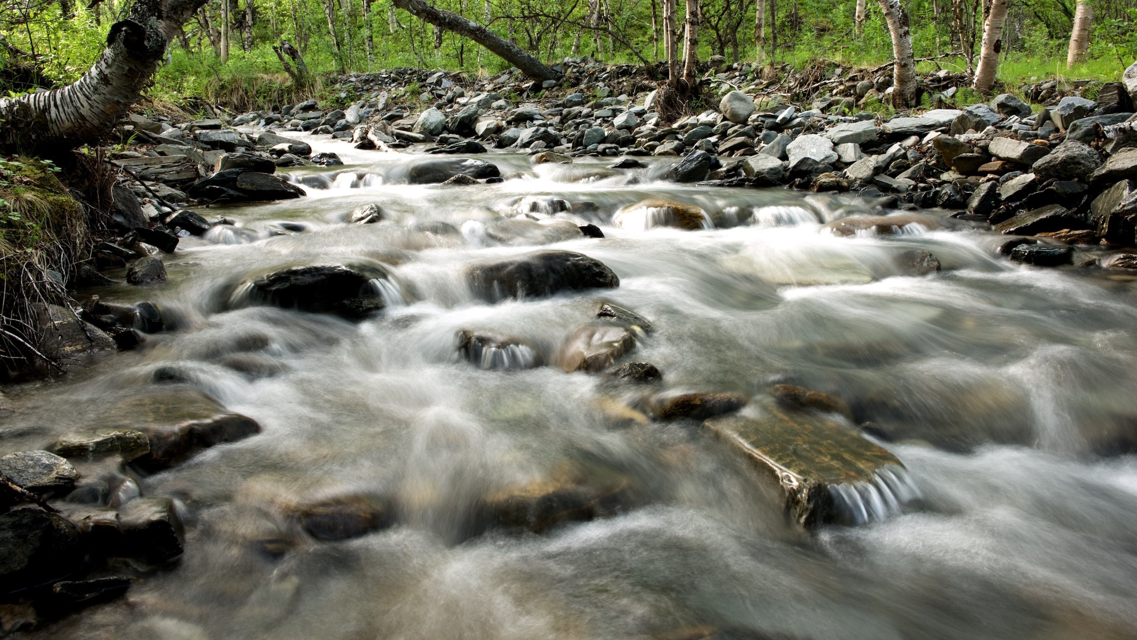 Abisko National Park which includes a river or creek