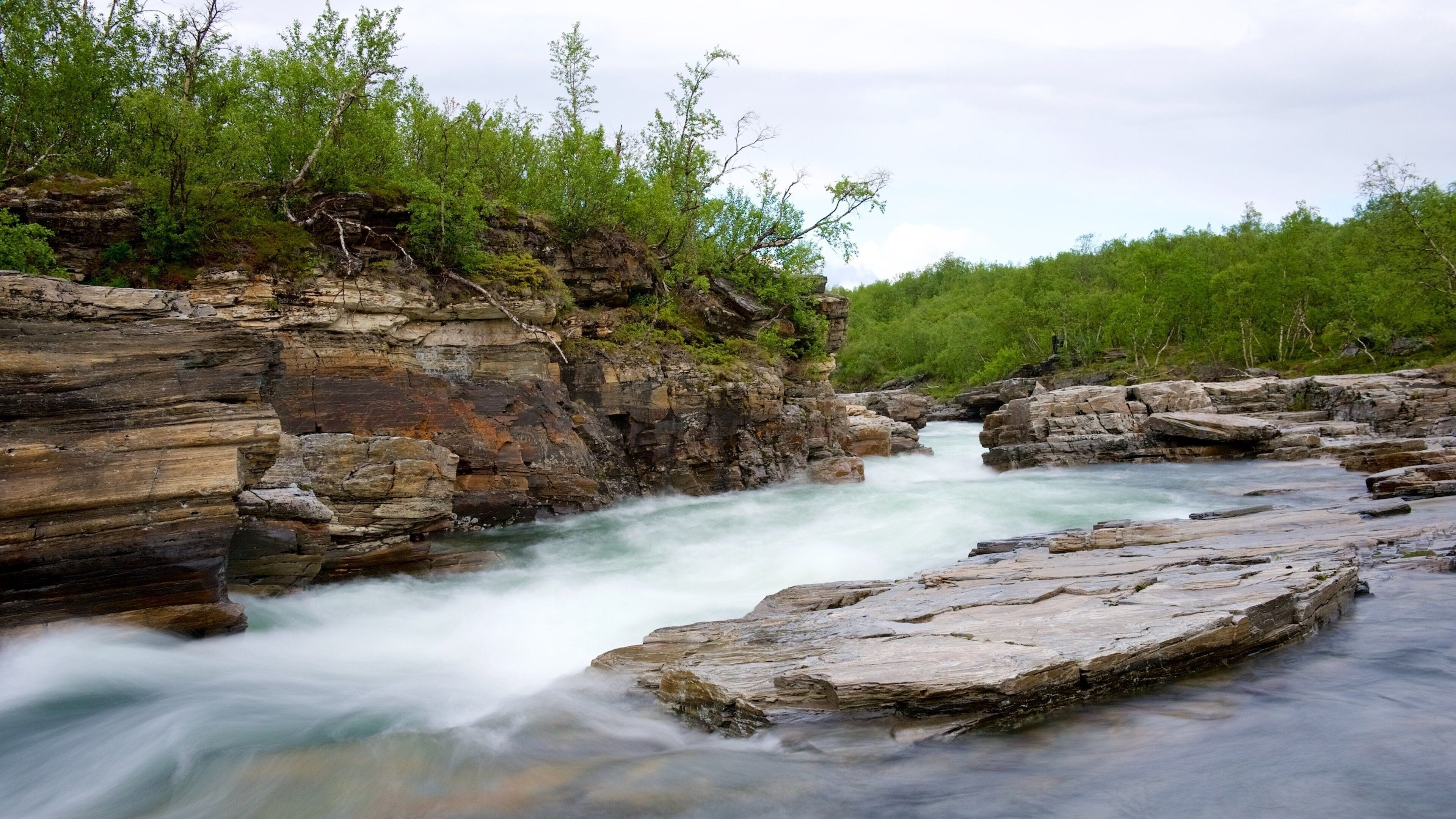 A river flowing through a rocky gorge with lush greenery on the banks.