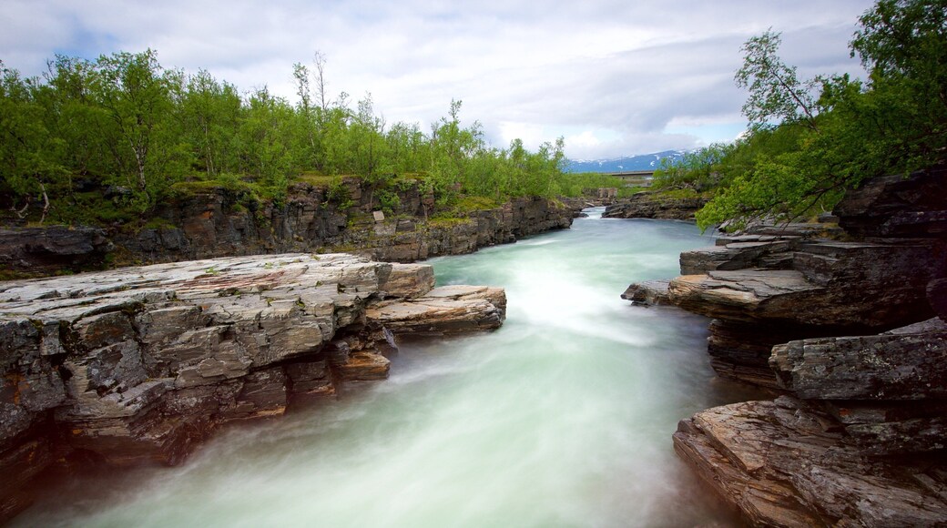 Abisko National Park montrant riviĂšre ou ruisseau