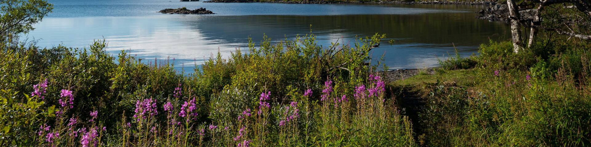 A lake surrounded by mountains and lush greenery.