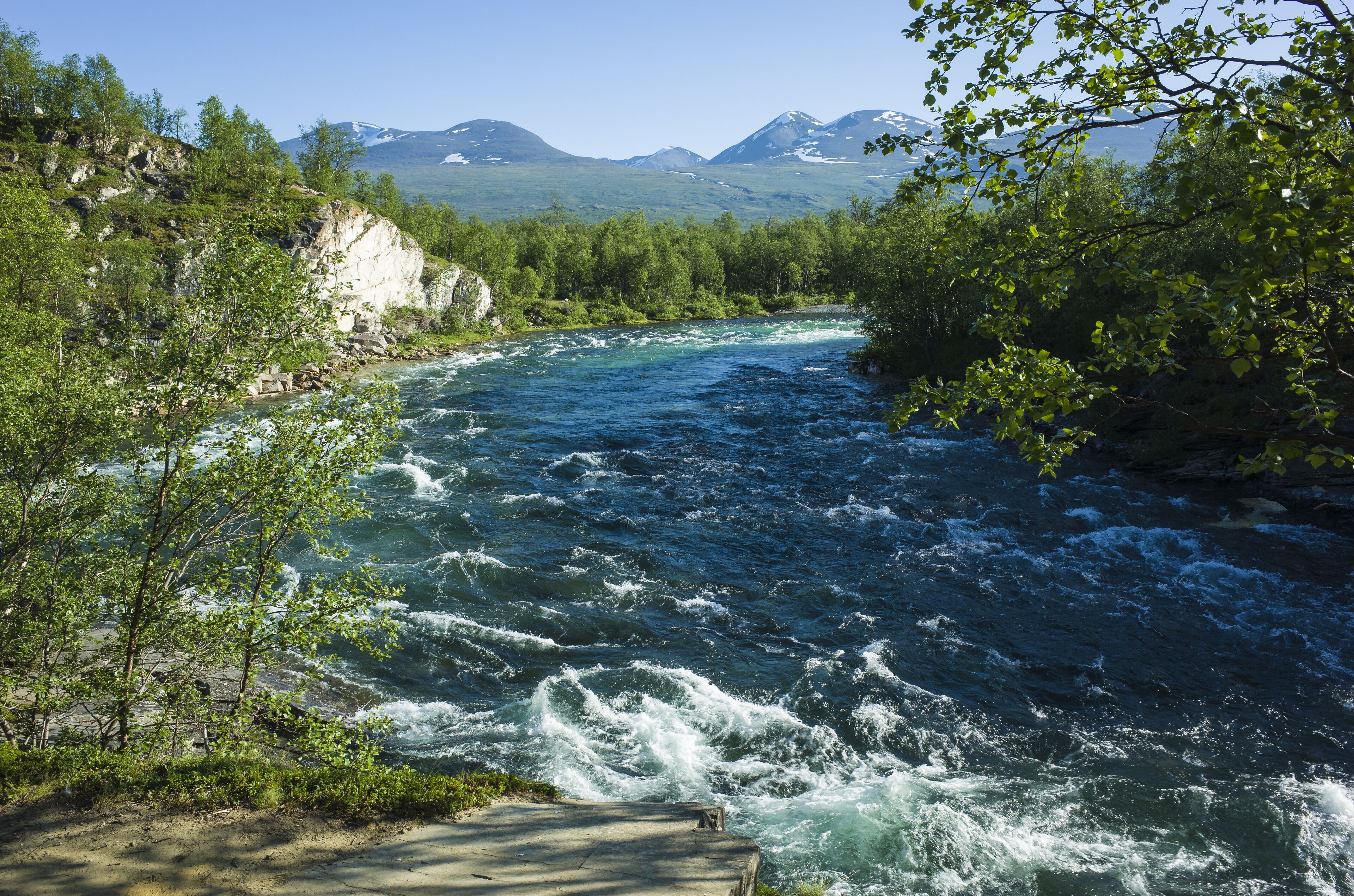 Nature of Scandinavia in summer. Abiskojokk river in Abisko National Park in northern Sweden. Sunny day