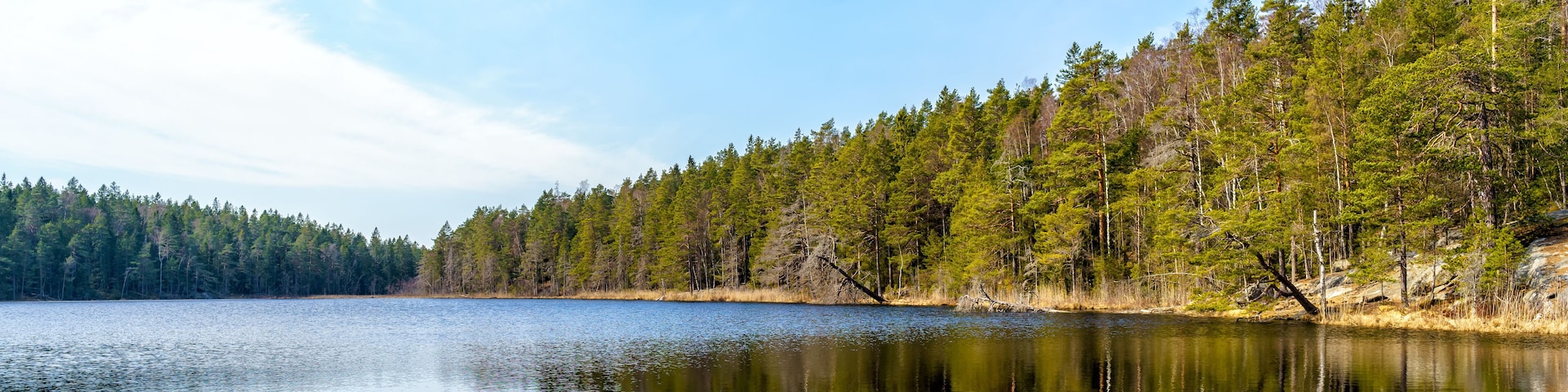 A beautiful forest lake in Tyresta National Park, Sweden